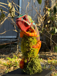 Panther Chameleon