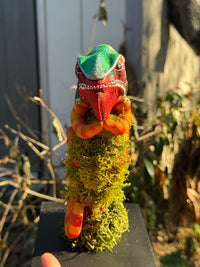 Panther Chameleon