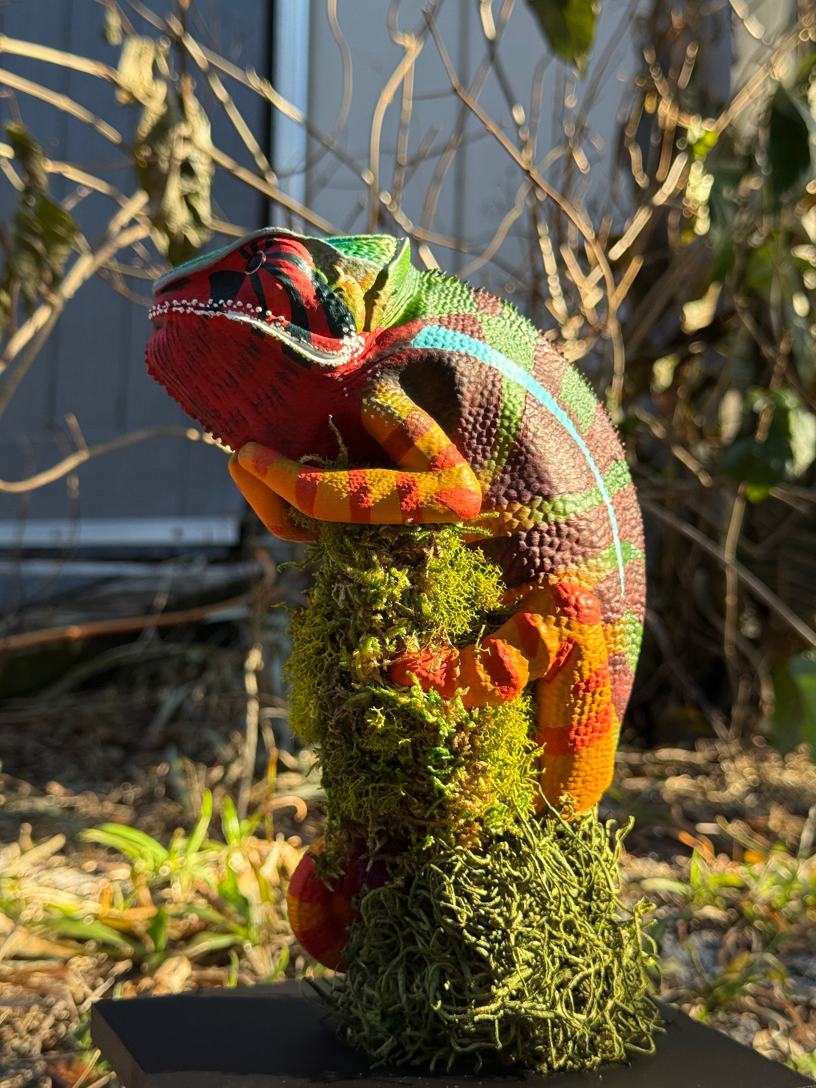Panther Chameleon