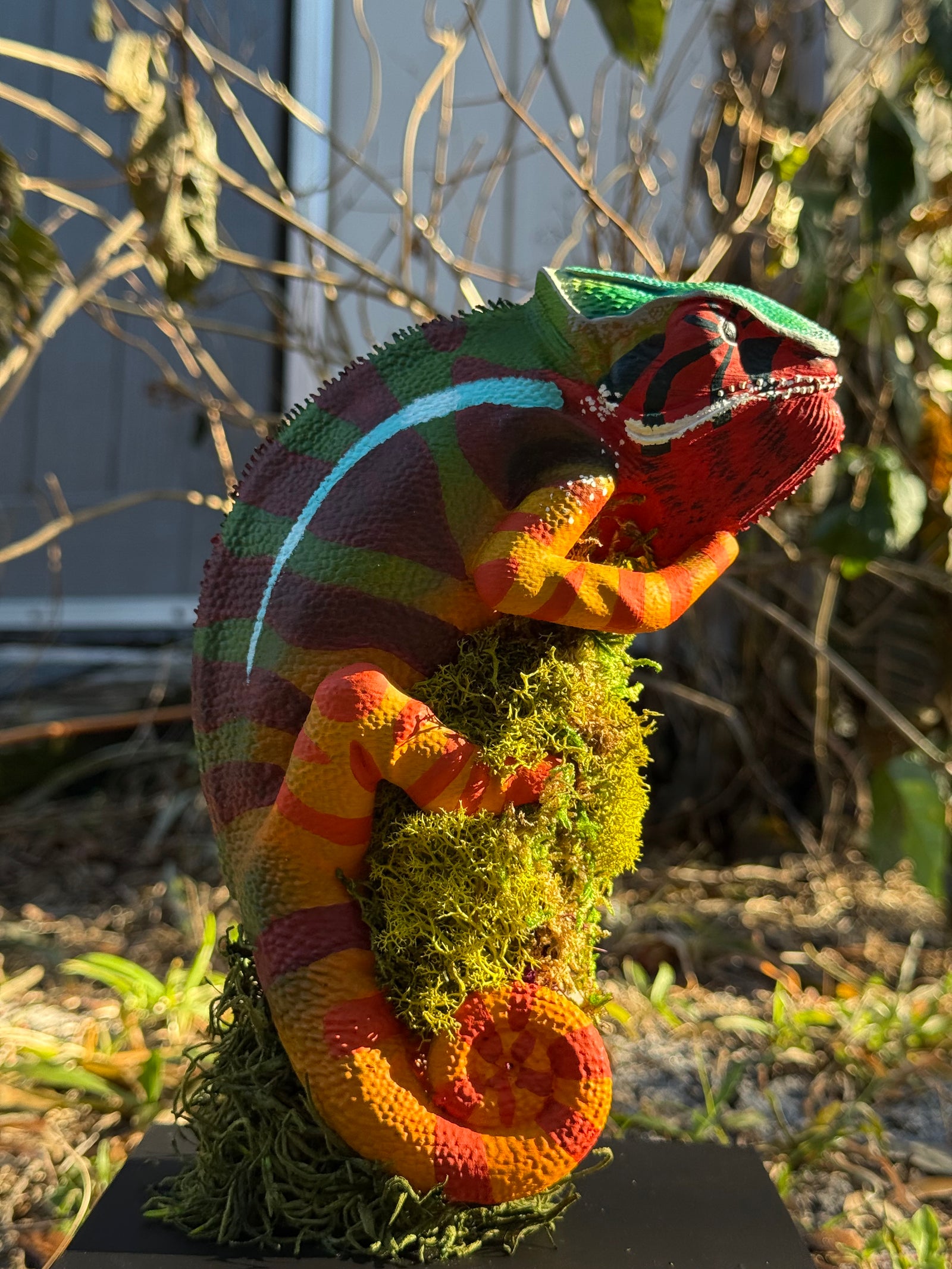 Panther Chameleon
