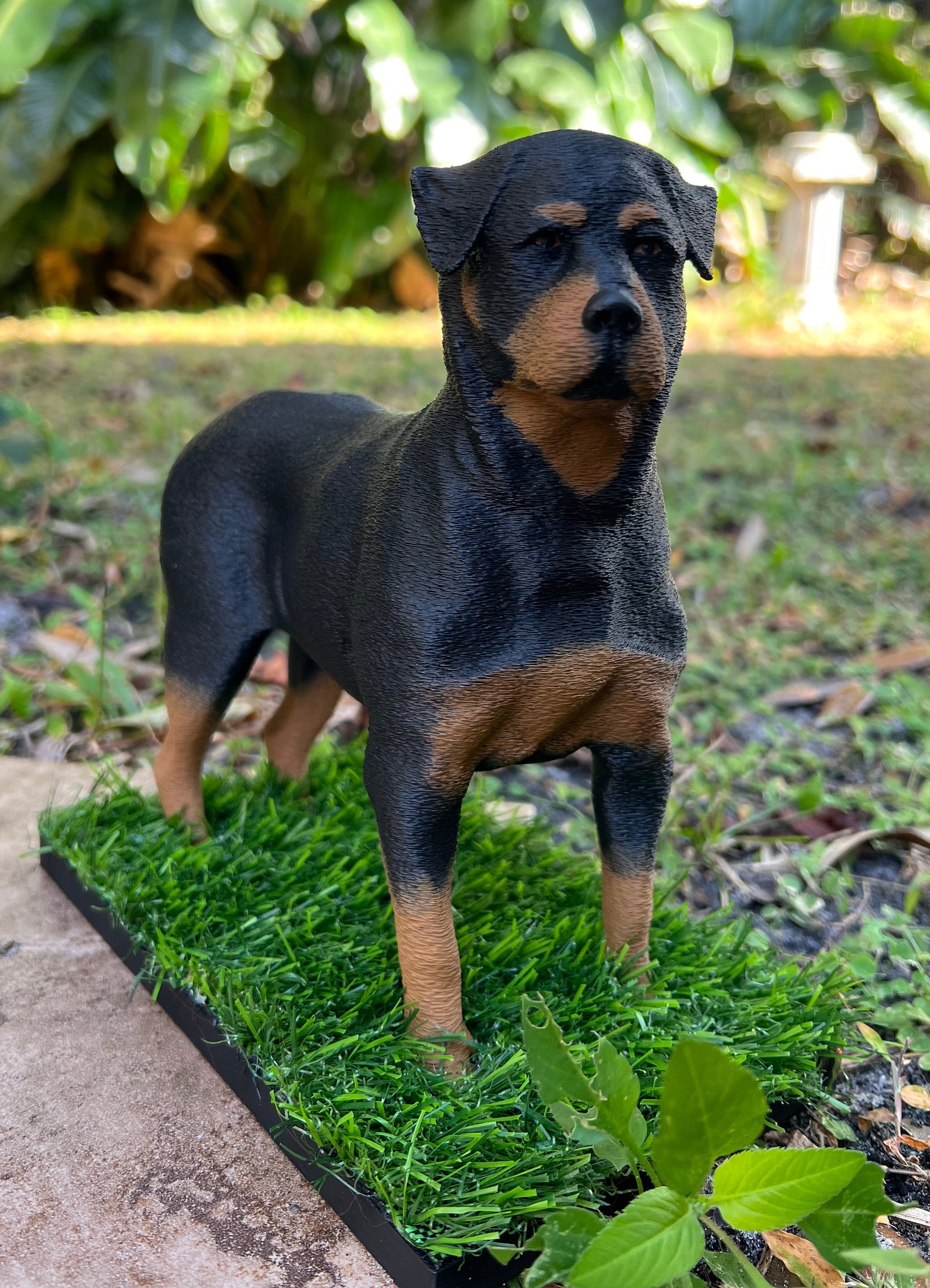 Rotty