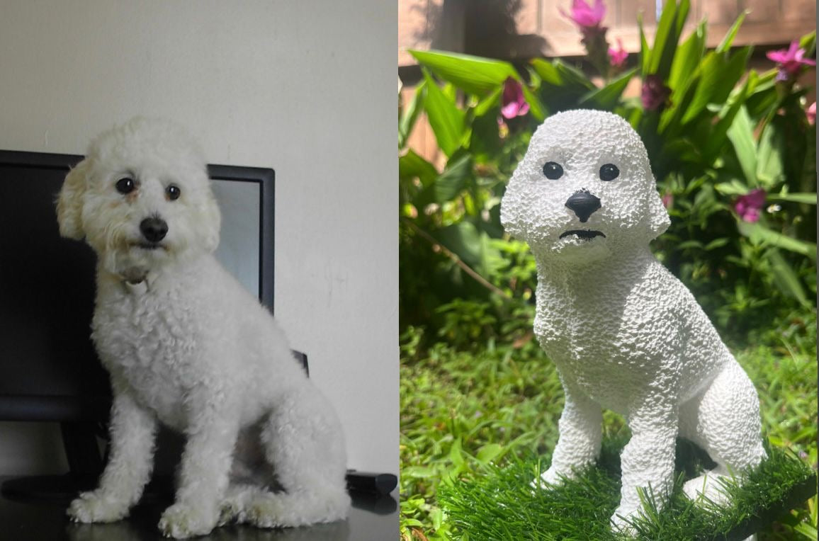 Snowball