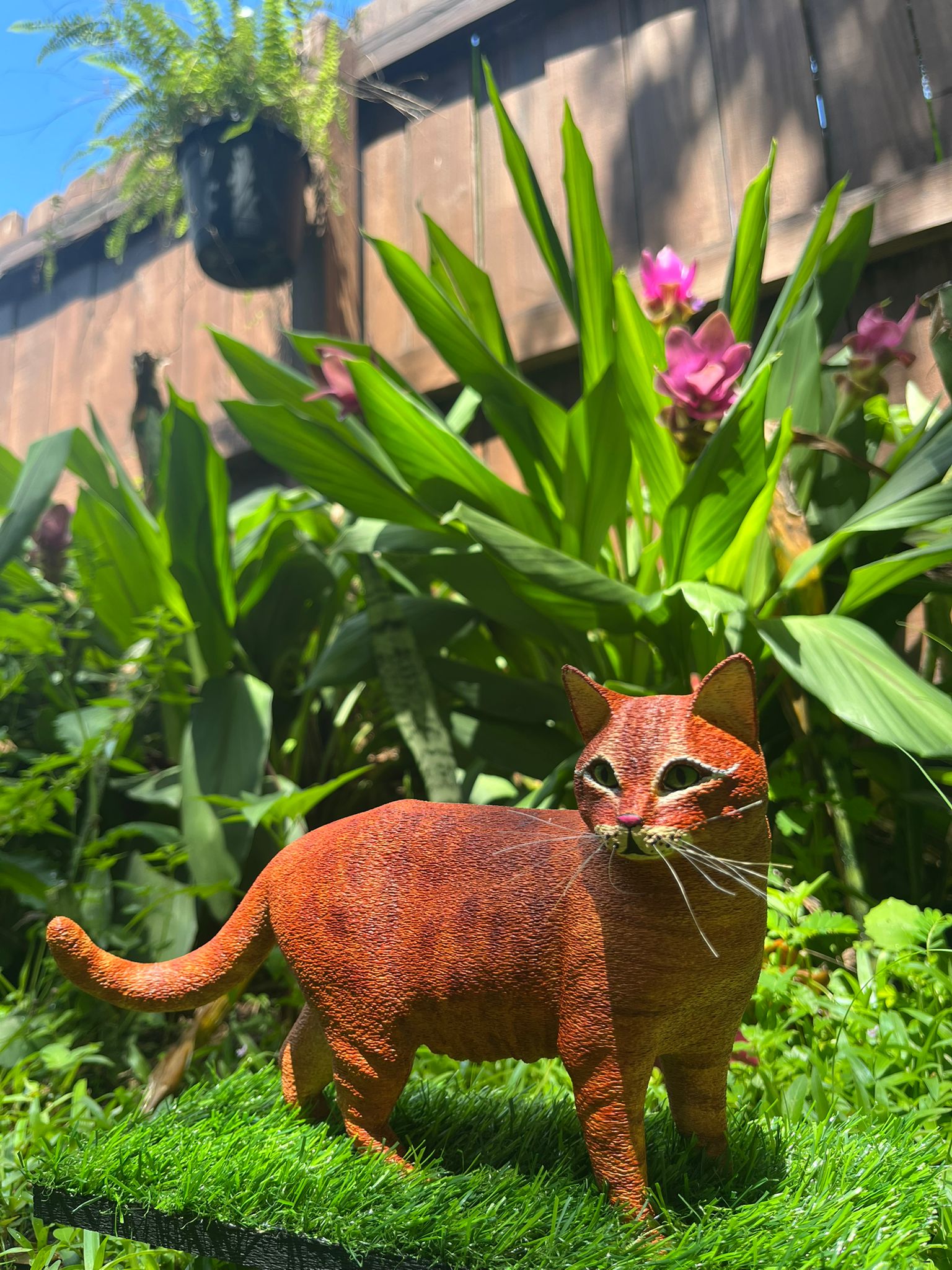 Tabby