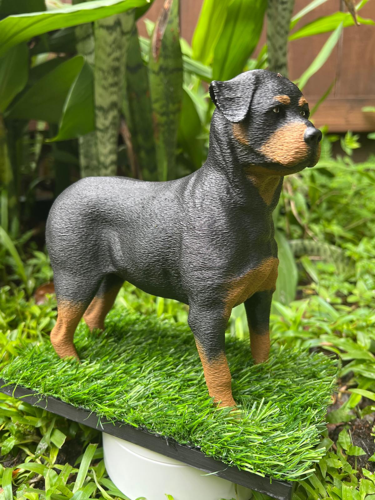 Rotty