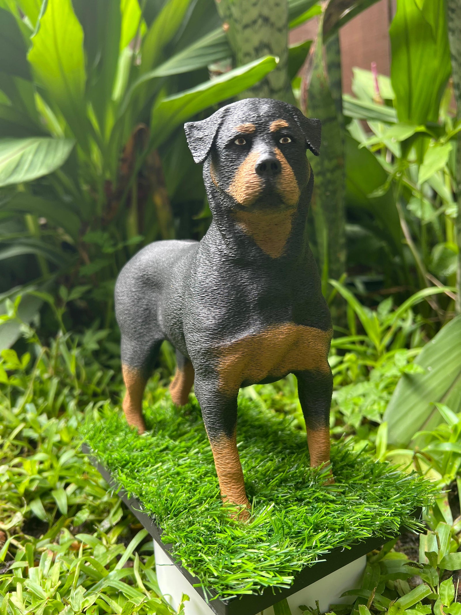 Rotty