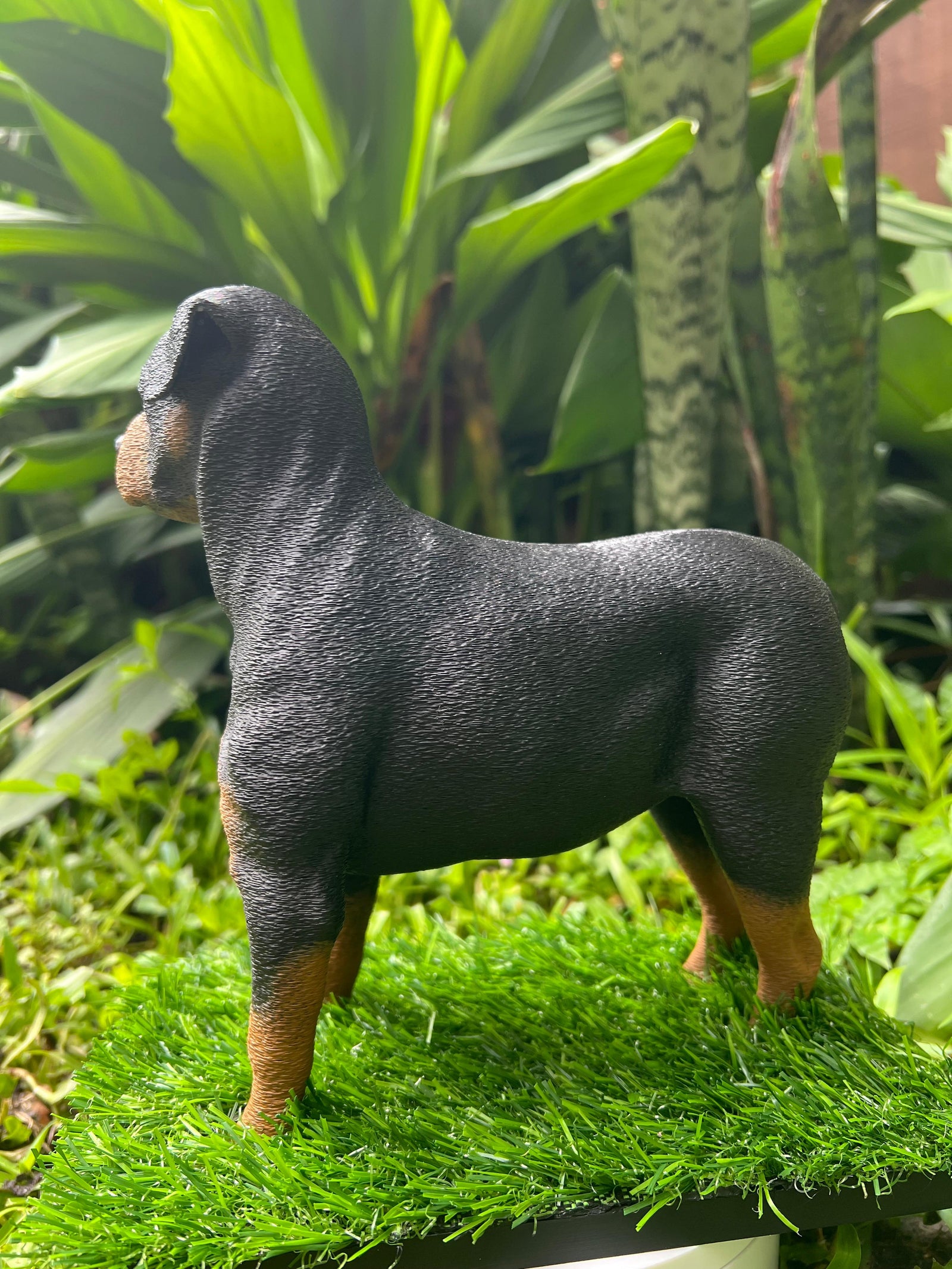 Rotty