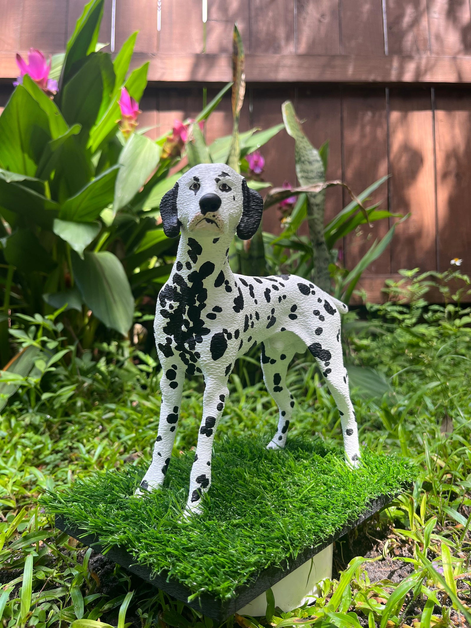 Spot