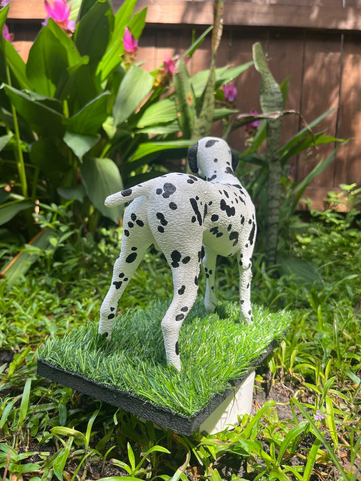 Spot