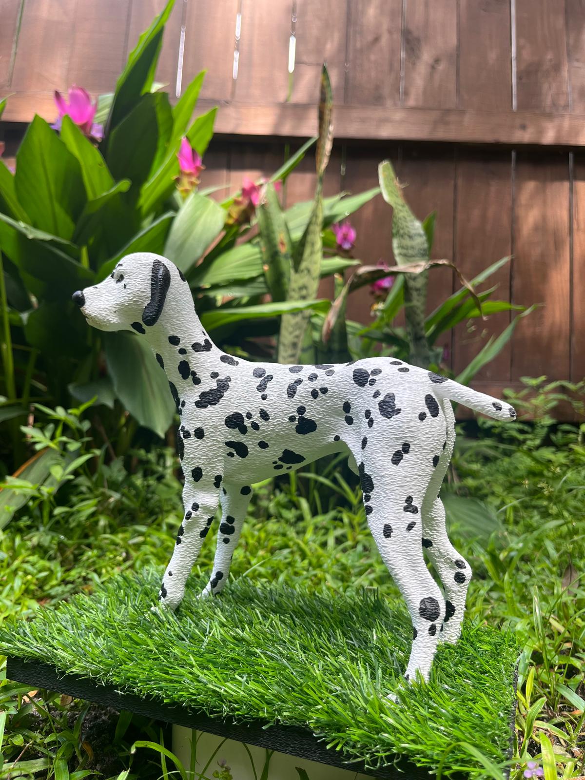 Spot