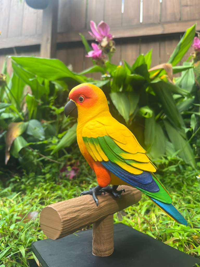 Sun conure