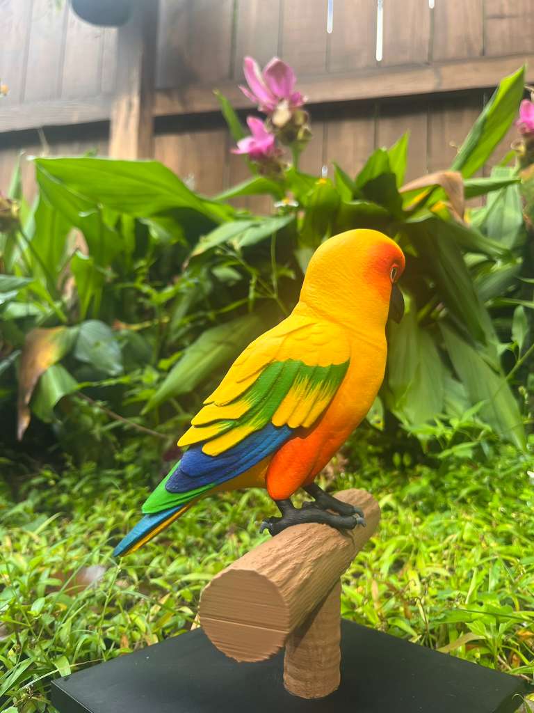 Sun conure