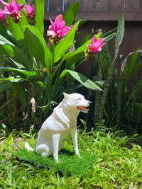 Chalupa - Composite Creatives