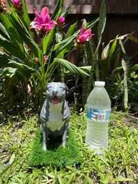 Chico - Composite Creatives