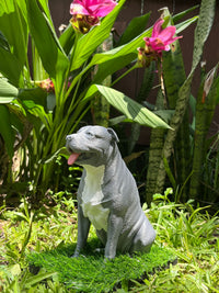 Chico - Composite Creatives