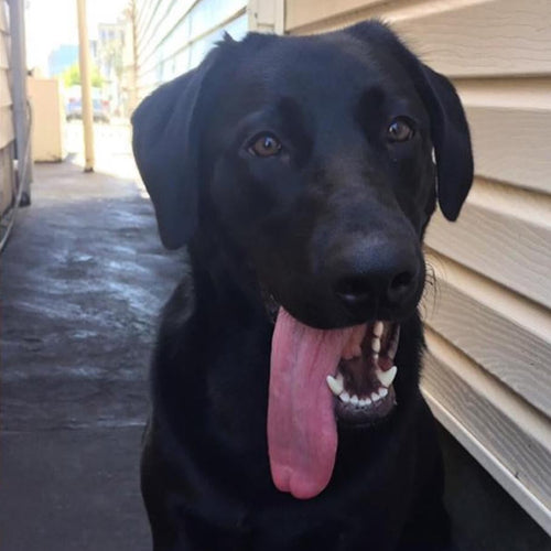 Custom 3D sculpture of Odin the AllFather