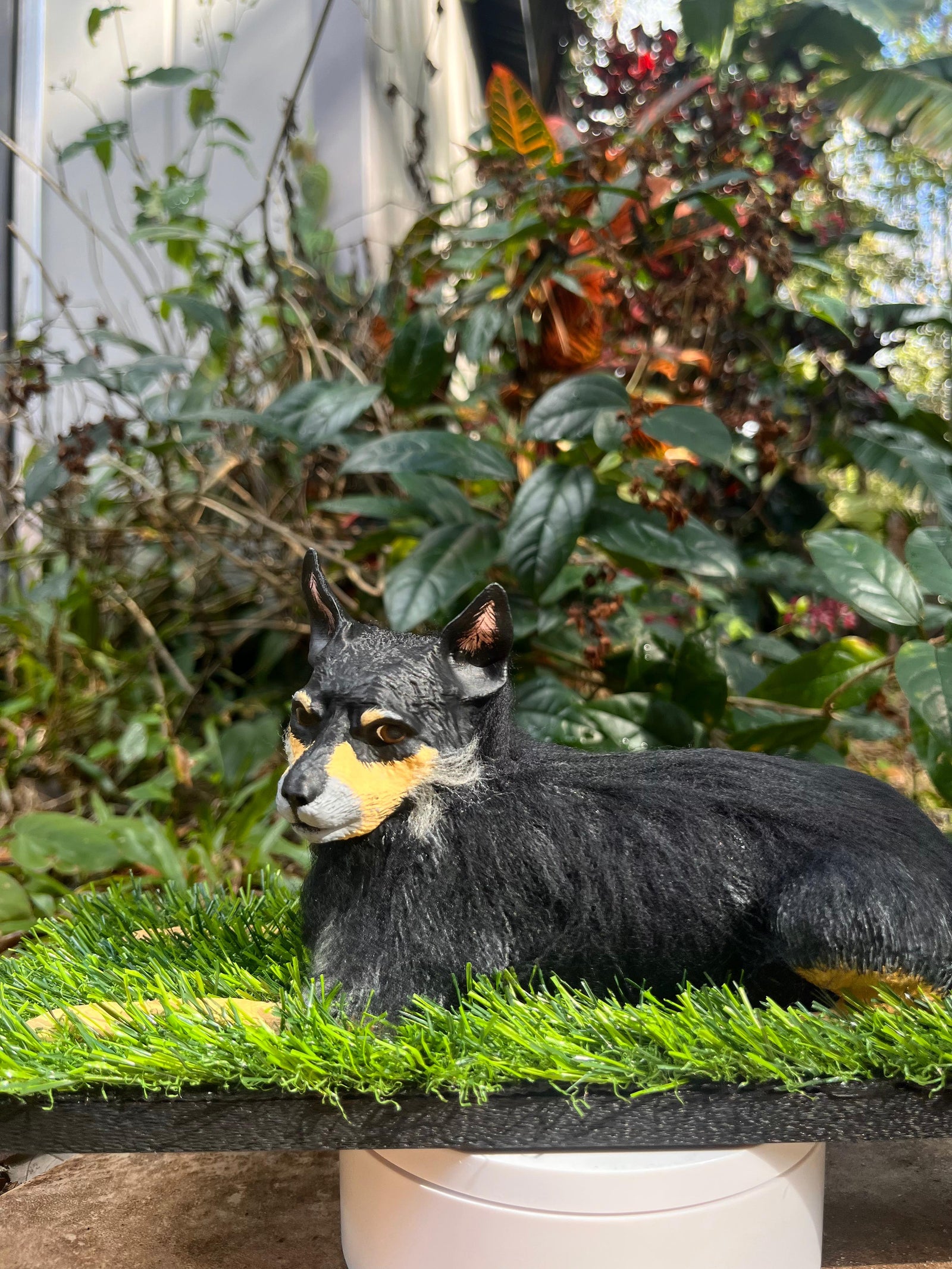 Rambo