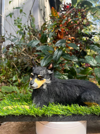 Rambo