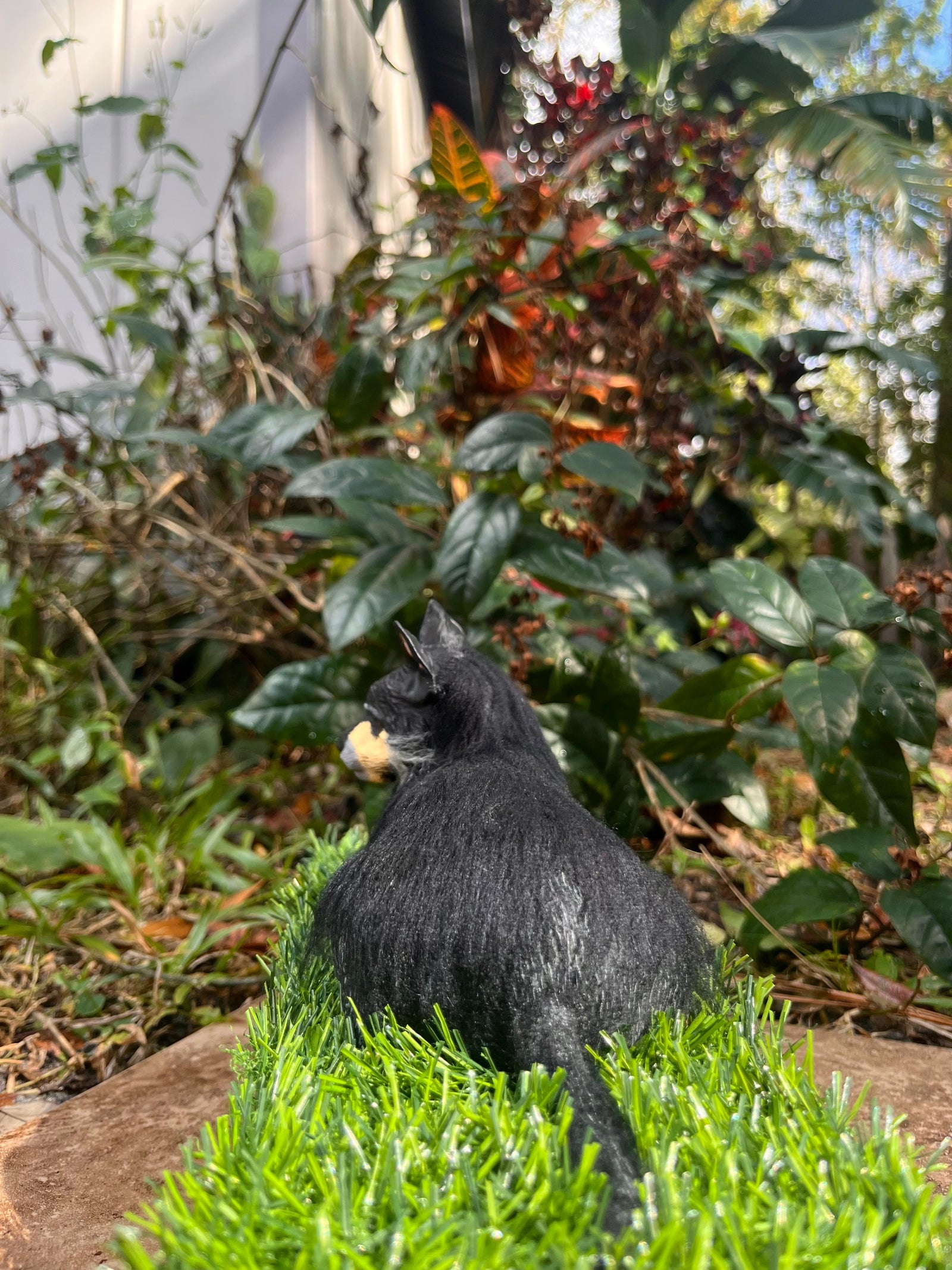 Rambo